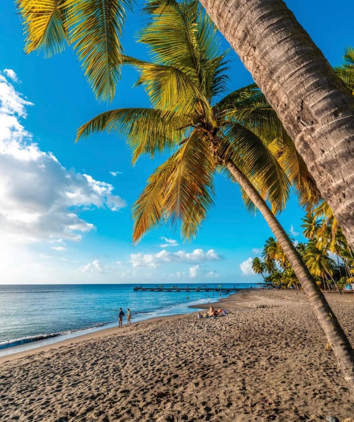 Bas De Villa Vacances Ocean ル・カルベ エクステリア 写真